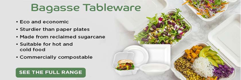Bagasse Tableware